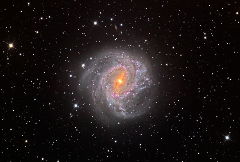 М83 от Cold Spring Observatory