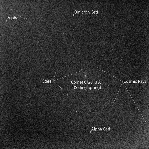 Изображение  сделано незадолго до марсианского рассвета. Выдержка составила 50 секунд.  Источник: NASA/JPL-Caltech/Cornell Univ./ASU/TAMU