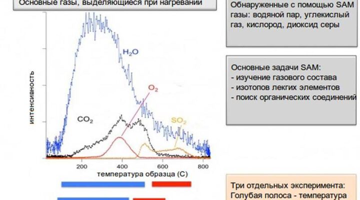 Обнаруженные в пробе газы