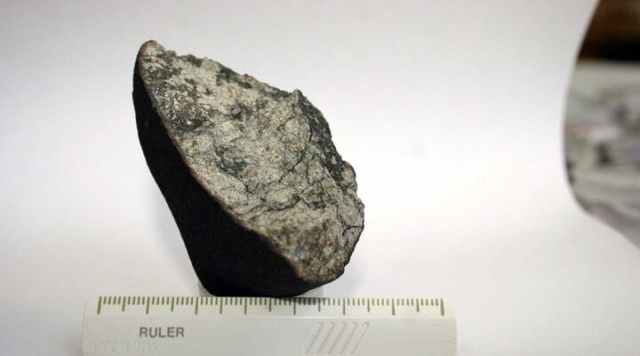Один из образцов метеорита
